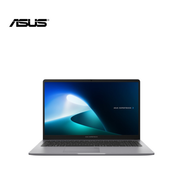 ASUS ExpertBook P1 (P1503)